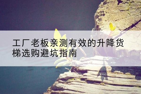 东乡升降货梯怎么选-工厂老板亲测有效的升降货梯选购避坑指南