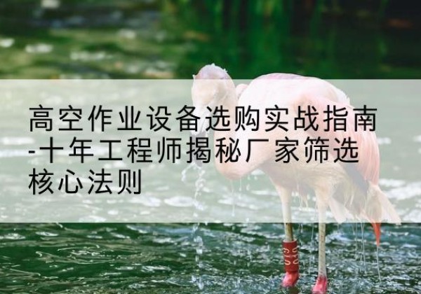 东乡剪叉式升降机厂家-高空作业设备选购实战指南-十年工程师揭秘厂家筛选核心法则